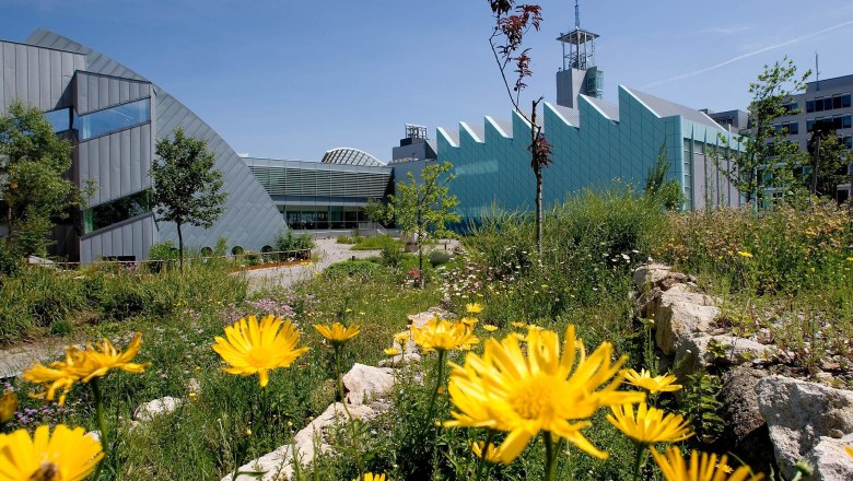 Modern architecture of the Museum Niederösterreich with a blooming garden in the foreground.