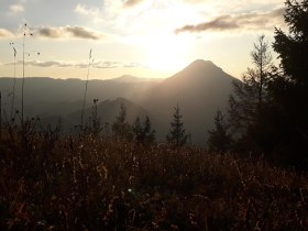 View in the direction of &Ouml;tscher, &copy; Veronika Griessl