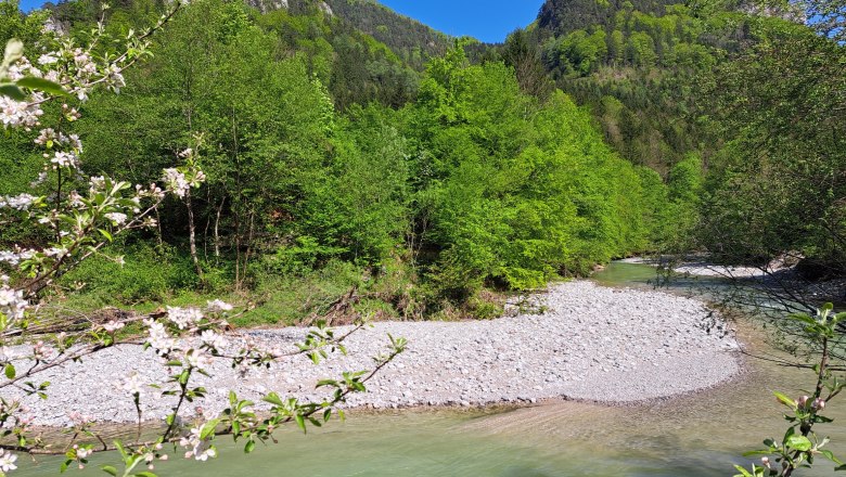 Ferienwohnung Urmannsau, &copy; Melitta Praus