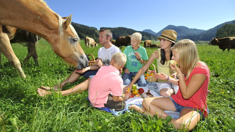 Picnic in an alpine pasture, © landurlaub.at