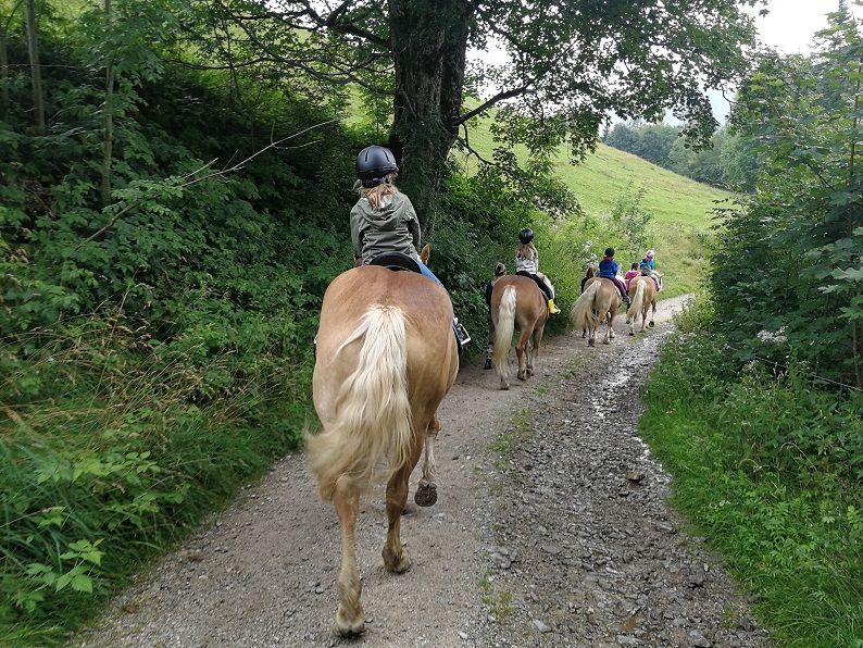 Children riding horses on a forest path.