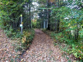 On the way to the Sebastiani church, &copy; Mostviertel - O&Ouml; Mariazellerweg