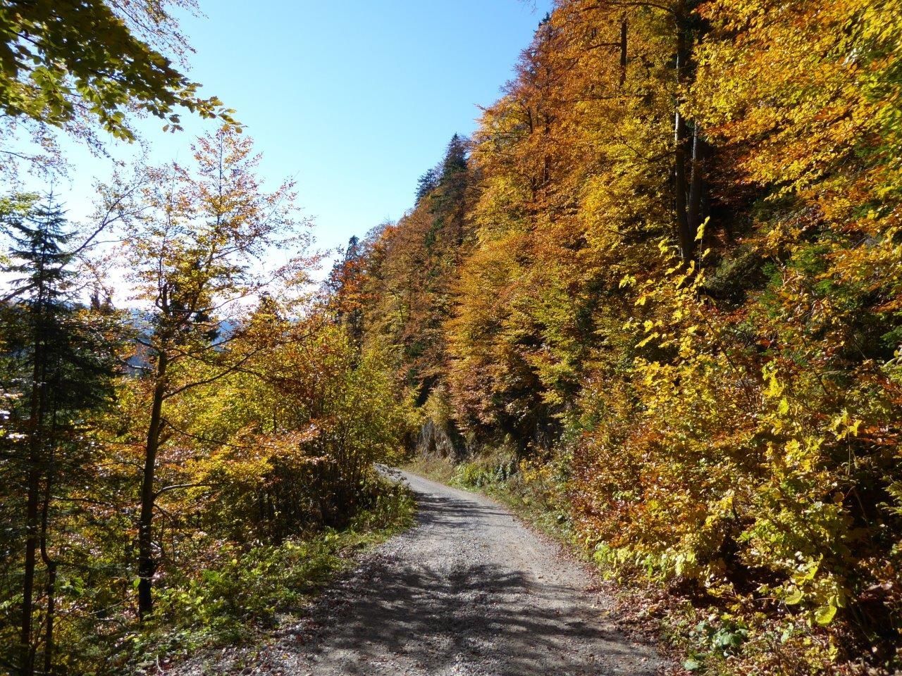 Herbstliche Farbenpracht