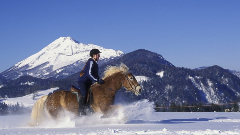 Galloping through the snow, © Mostviertel Tourismus, weinfranz.at